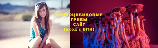 a pvp Алексеевка